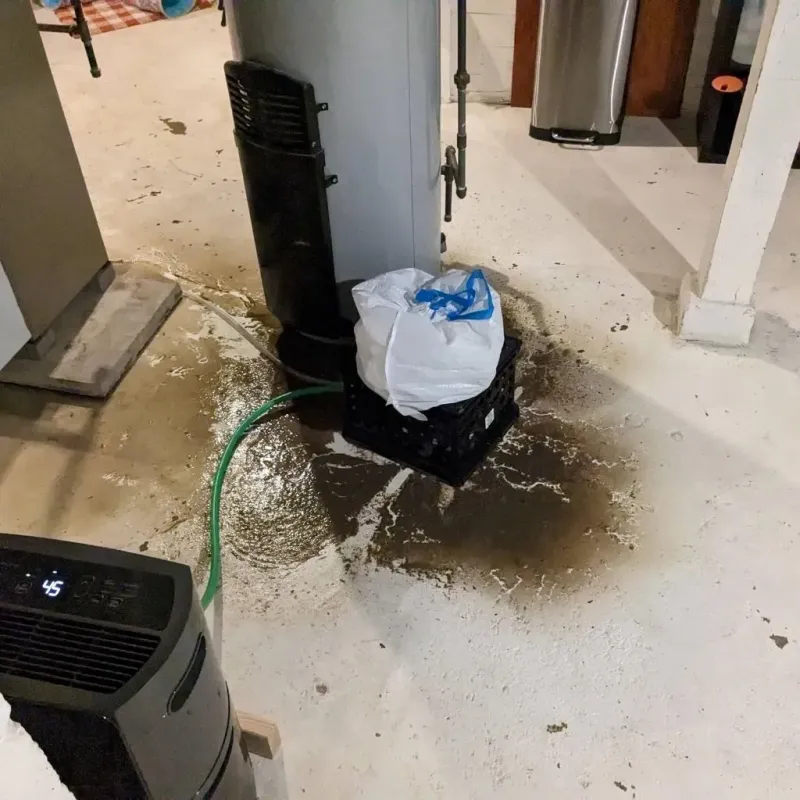 Sewage Backup Cleanup Service in Frio County, TX